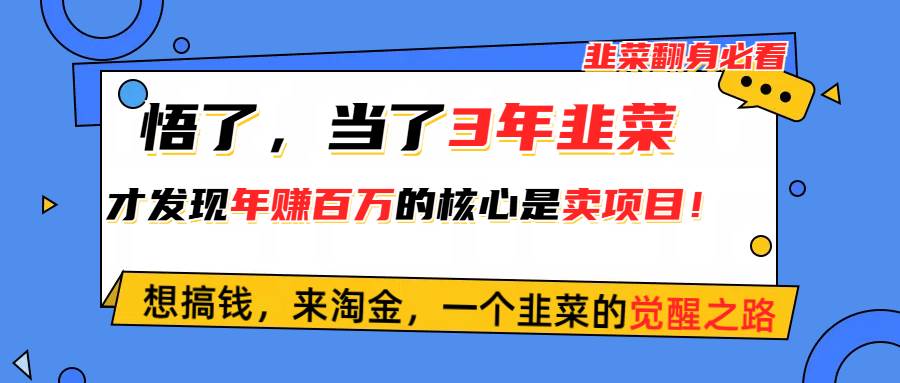 悟了，当了3年韭菜，才发现网赚圈年赚100万的核心是卖项目，含泪分享！-凤来社资源库