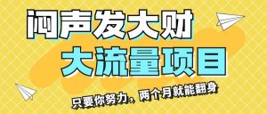 闷声发大财，大流量项目，月收益过3万，只要你努力，两个月就能翻身-凤来社资源库