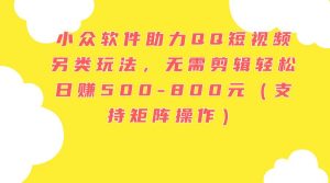 小众软件助力QQ短视频另类玩法，无需剪辑轻松日赚500-800元（支持矩阵...-凤来社资源库