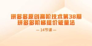 拼多多原创高阶技术第38期，拼多多阶梯提价破量法（14节课）-凤来社资源库