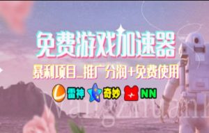 游戏加速器推广，一个月几百到几千的小项目，你看的上么？-凤来社资源库