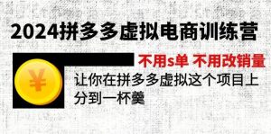 2024拼多多虚拟电商训练营 不s单 不改销量  做虚拟项目分一杯羹(更新10节)-凤来社资源库