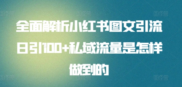 日引流100私域流量小红书图文是怎样做到的全面解析-凤来社资源库