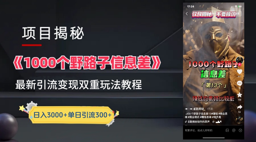 一千个野路子信息差24年最新玩法教程附带变现方法和引流的玩法具体拆解-凤来社资源库