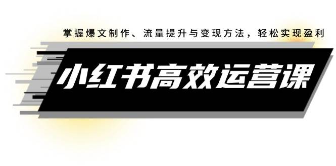 小红书高效运营课：掌握爆文制作、流量提升与变现方法，轻松实现盈利-凤来社资源库