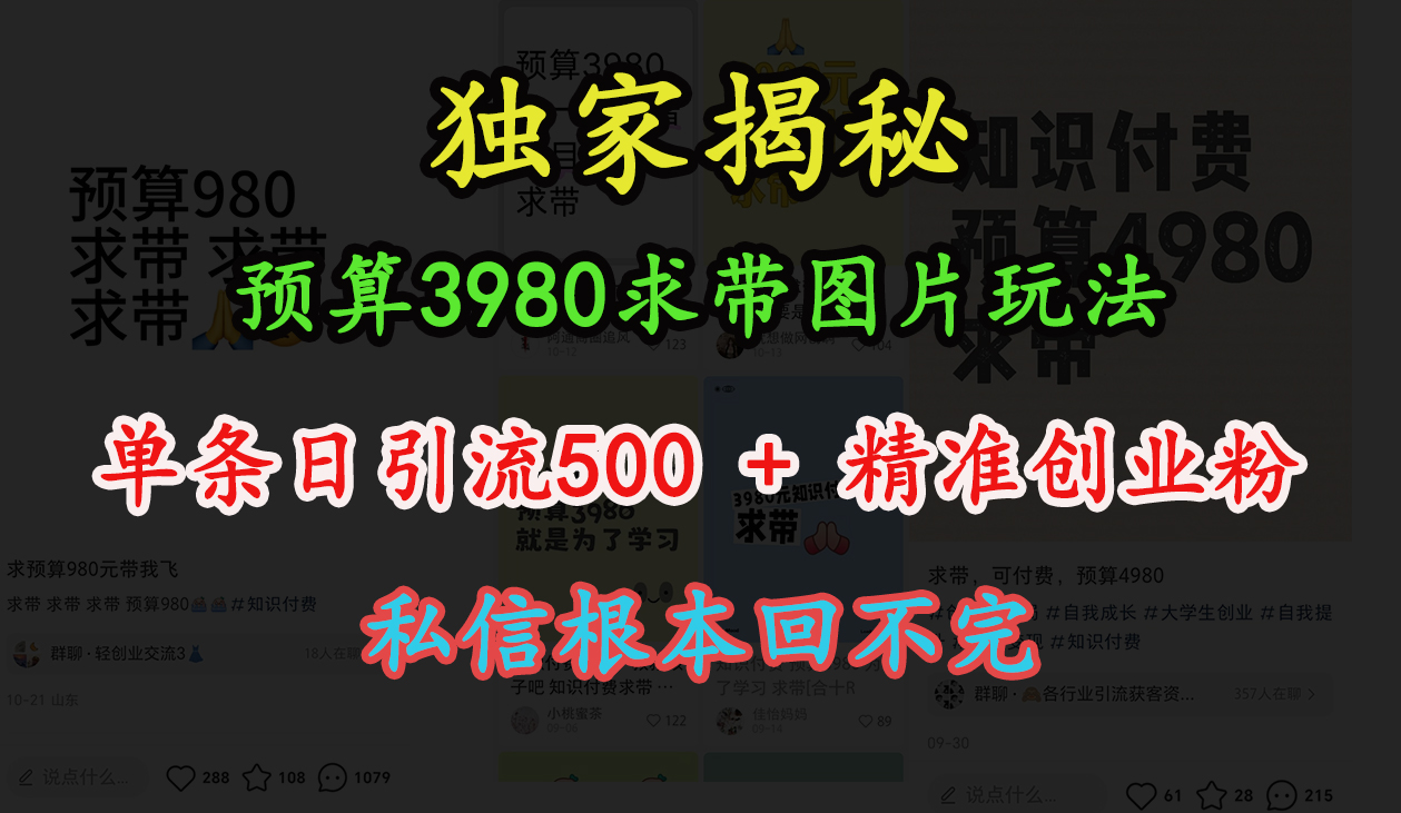 “小红书”预算3980求带 图片玩法，单条日引流500+精准创业粉，私信根本回不完-凤来社资源库