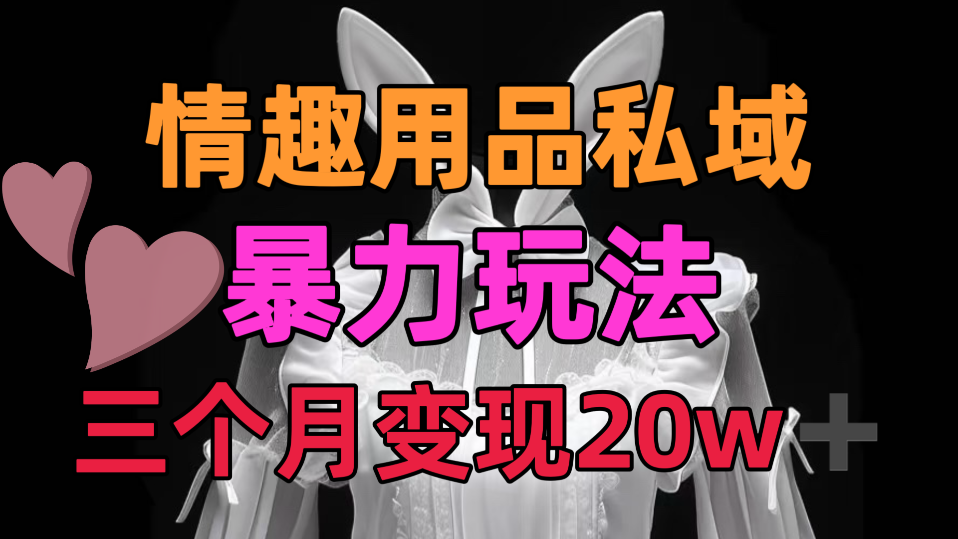 情趣用品私域，25年最新暴力玩法，三个月变现20w➕-凤来社资源库