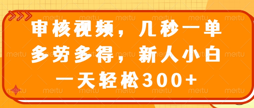 审核视频项目，几秒一单，多劳多得，新人小白一天轻松300+-凤来社资源库