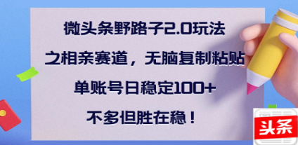 全网首发微头条野路子2.0玩法之相亲赛道，无脑搬砖复制粘贴，单账号日稳定300+保姆级教程-凤来社资源库