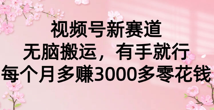 视频号新赛道，无脑搬运，有手就行，每个月多赚3000多零花钱-凤来社资源库