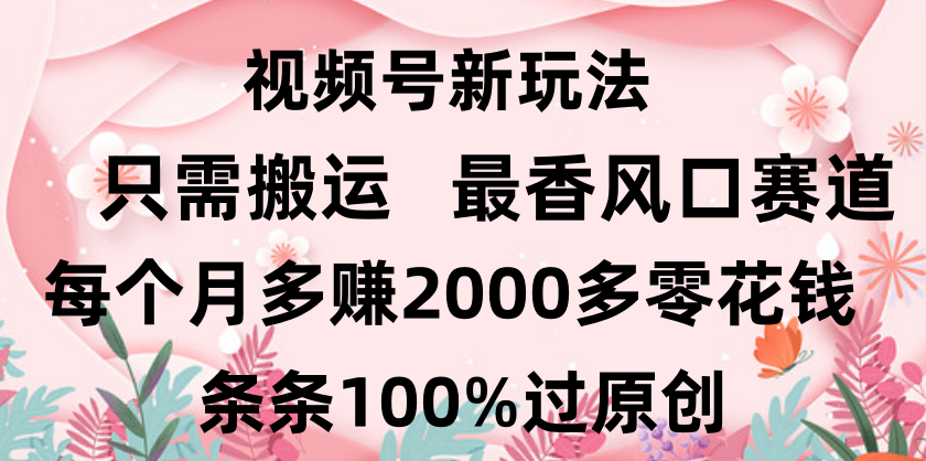 日入2000+，条条100%过原创，视频号最香风口赛道，小白轻松上手-凤来社资源库