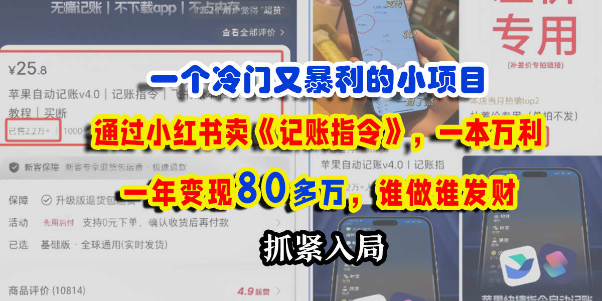 一个冷门又暴利的小项目，通过小红书卖《记账指令》，一本万利，一年变现80多万，谁做谁发财-凤来社资源库