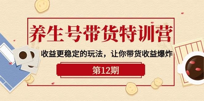养生号带货特训营【12期】收益更稳定的玩法，让你带货收益爆炸-9节直播课-凤来社资源库