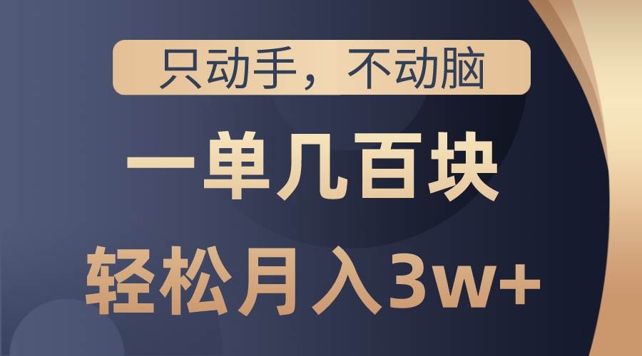 只动手不动脑，一单几百块，轻松月入3w+，看完就能直接操作，详细教程-凤来社资源库