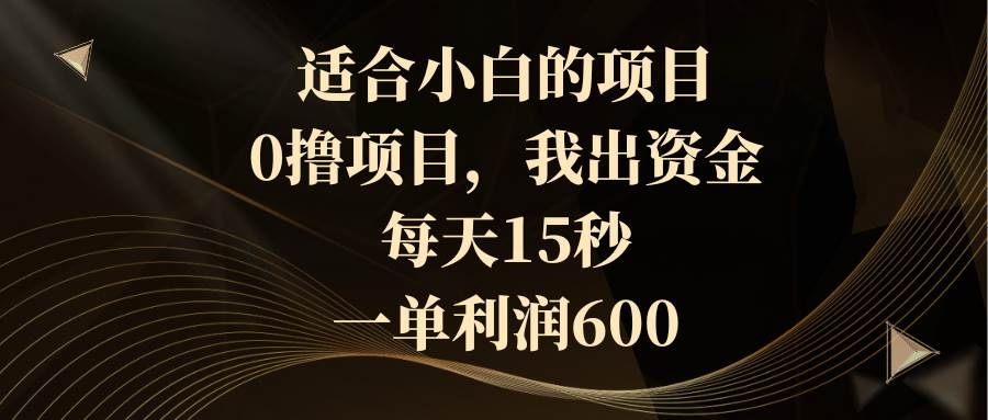适合小白的项目，0撸项目，我出资金，每天15秒，一单利润600-凤来社资源库