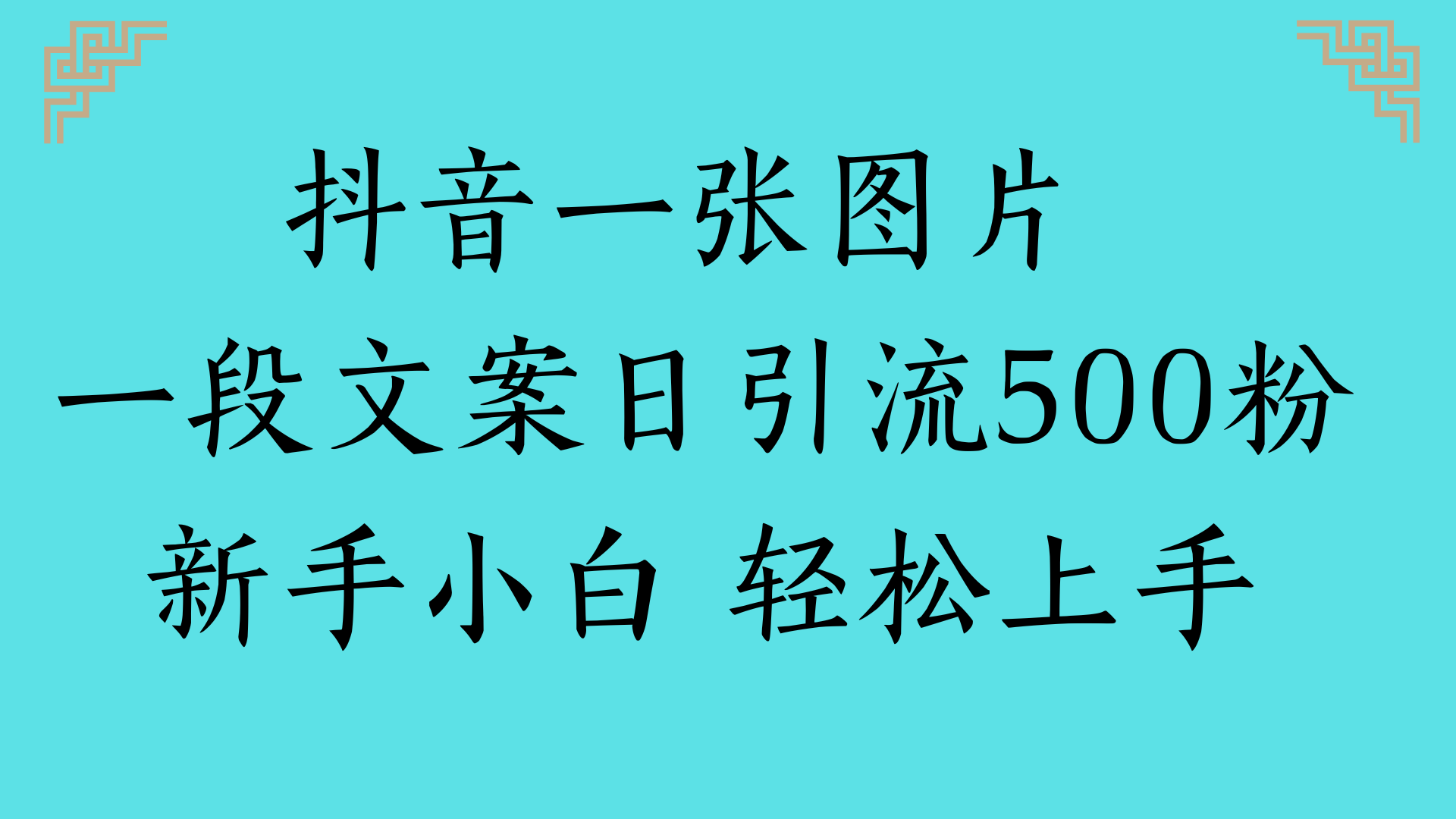 抖音一张图片 一段文案日引流500粉新手小白 轻松上手-凤来社资源库
