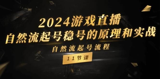 2024游戏直播-自然流起号稳号的原理和实战，自然流起号流程（11节）-凤来社资源库