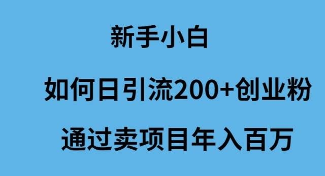 新手小白如何日引流200+创业粉通过卖项目年入百万-凤来社资源库