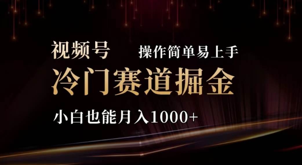 2024视频号冷门赛道掘金，操作简单轻松上手，小白也能月入1000+-凤来社资源库