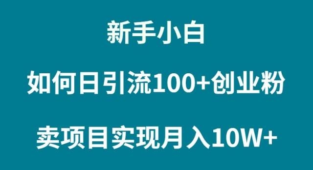 新手小白如何通过卖项目实现月入10W+-凤来社资源库