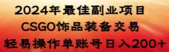 2024年最佳副业项目 CSGO饰品装备交易 轻易操作单账号日入200+-凤来社资源库