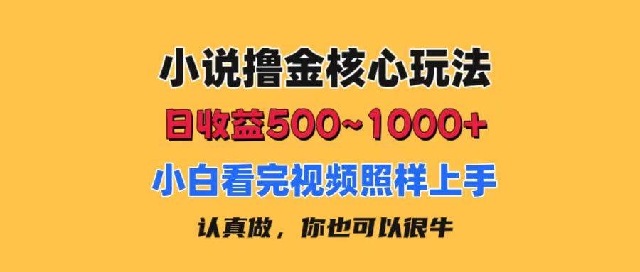 小说撸金核心玩法，日收益500-1000+，小白看完照样上手，0成本有手就行-凤来社资源库