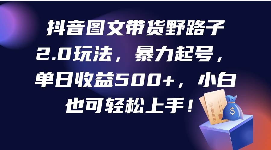 抖音图文带货野路子2.0玩法，暴力起号，单日收益500+，小白也可轻松上手！-凤来社资源库