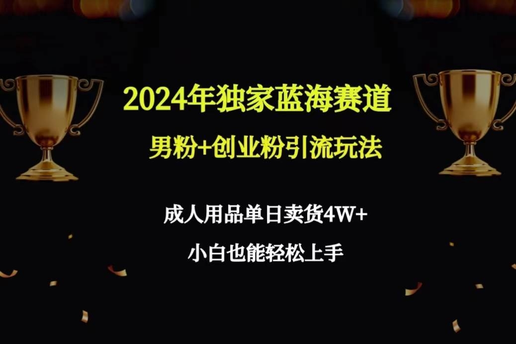 2024年独家蓝海赛道男粉+创业粉引流玩法，成人用品单日卖货4W+保姆教程-凤来社资源库