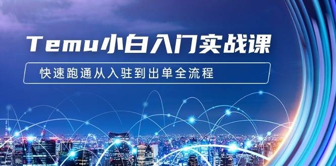 Temu小白入门实战课：跨境拼多多电商培训 快速跑通从入驻到出单全流程-12节-凤来社资源库