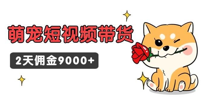 东哲日记·萌宠短视频带货，2天佣金9000+-凤来社资源库
