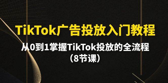 TikTok广告投放入门教程，从0到1掌握TikTok投放的全流程（8节课）-凤来社资源库
