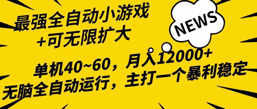 2024最新全网独家小游戏全自动，单机40~60,稳定躺赚，小白都能月入过万-凤来社资源库
