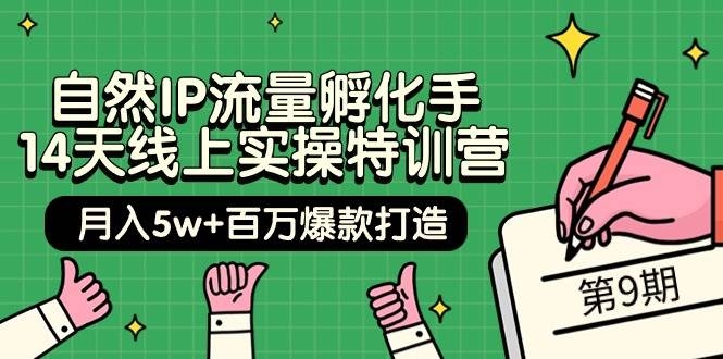 自然IP流量孵化手 14天线上实操特训营【第9期】月入5w+百万爆款打造 (74节)-凤来社资源库