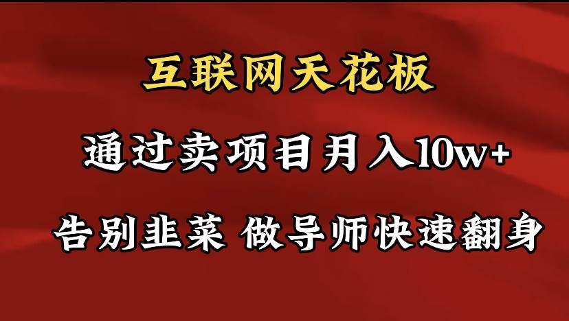 导师训练营互联网的天花板，让你告别韭菜，通过卖项目月入10w+，一定要…-凤来社资源库