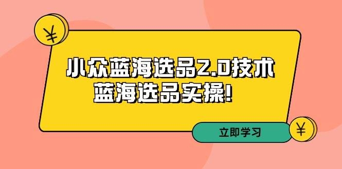拼多多培训第33期：小众蓝海选品2.0技术-蓝海选品实操！-凤来社资源库