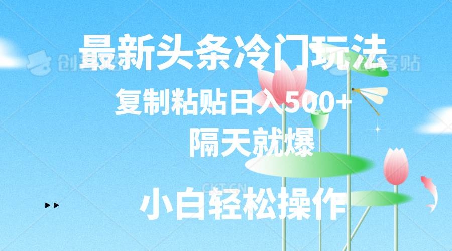 最新头条冷门玩法，隔天就爆，复制粘贴日入500+-凤来社资源库