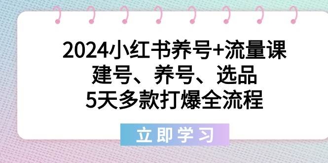 2024小红书养号+流量课：建号、养号、选品，5天多款打爆全流程-凤来社资源库