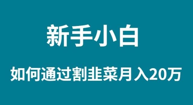 新手小白如何通过割韭菜月入 20W-凤来社资源库