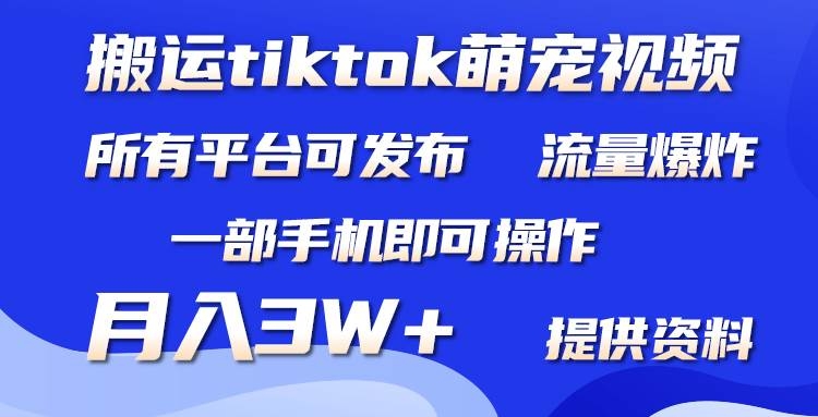 搬运Tiktok萌宠类视频，一部手机即可。所有短视频平台均可操作，月入3W+-凤来社资源库