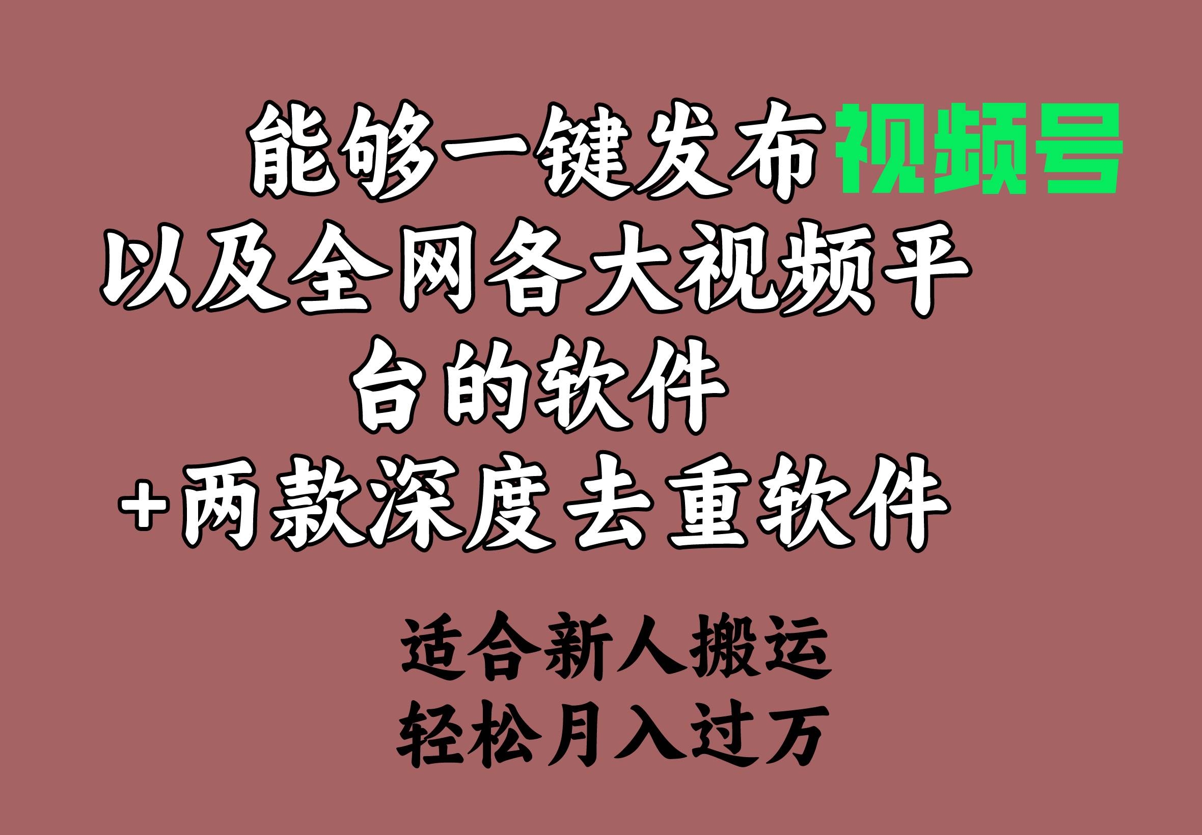 能够一键发布视频号以及全网各大视频平台的软件+两款深度去重软件 适合…-凤来社资源库