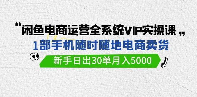 闲鱼电商运营全系统VIP实战课，1部手机随时随地卖货，新手日出30单月入5000-凤来社资源库