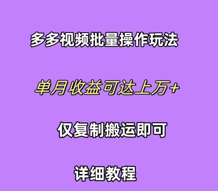 拼多多视频带货快速过爆款选品教程 每天轻轻松松赚取三位数佣金 小白必…-凤来社资源库