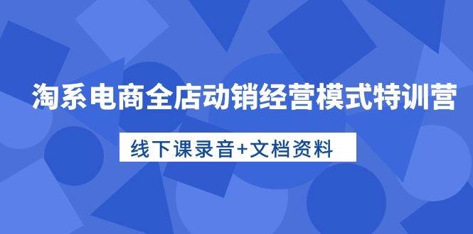 淘系电商全店动销经营模式特训营，线下课录音+文档资料-凤来社资源库