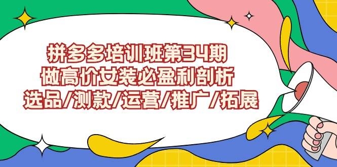 拼多多培训班第34期：做高价女装必盈利剖析  选品/测款/运营/推广/拓展-凤来社资源库