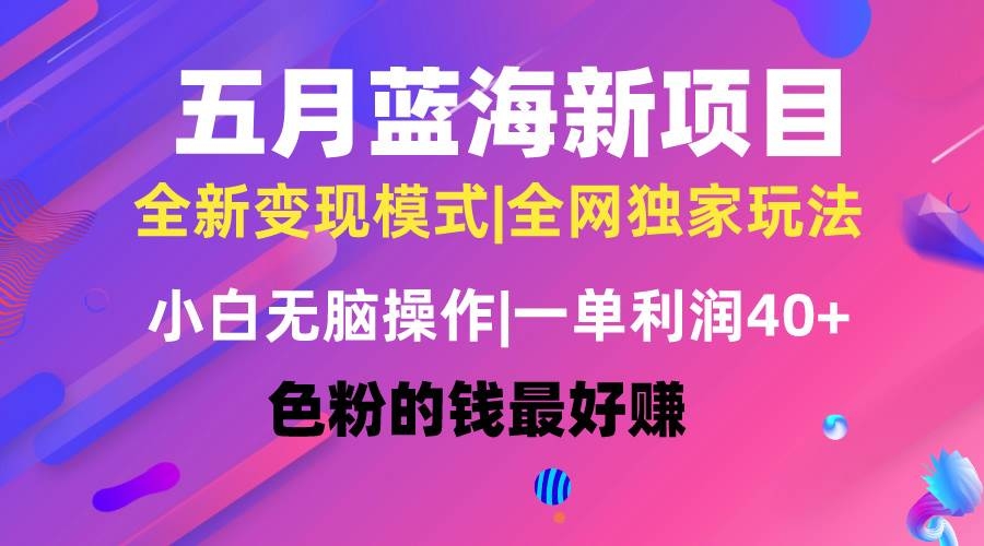 五月蓝海项目全新玩法，小白无脑操作，一天几分钟，矩阵操作，月入4万+-凤来社资源库