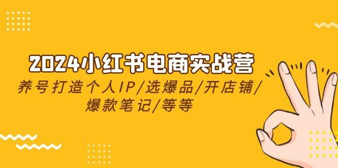 2024小红书电商实战营，养号打造IP/选爆品/开店铺/爆款笔记/等等（24节）-凤来社资源库