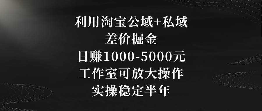 利用淘宝公域+私域差价掘金，日赚1000-5000元，工作室可放大操作，实操…-凤来社资源库