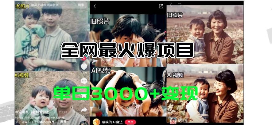 全网爆火的AI让老照片动起来教程，蹭热点日赚3000+，内含免费工具一键…-凤来社资源库