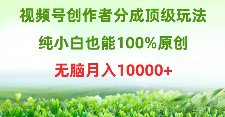 视频号创作者分成顶级玩法，纯小白也能100%原创，无脑月入10000+-凤来社资源库