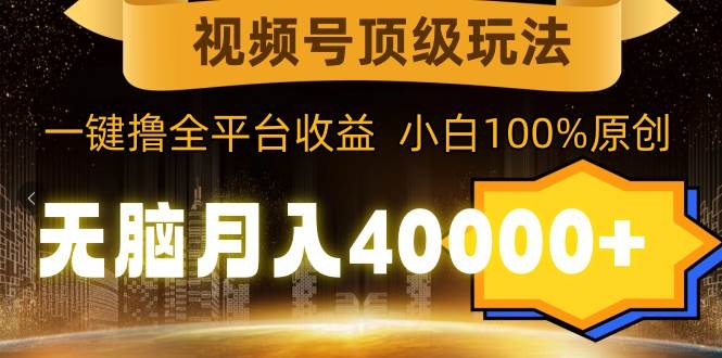 视频号顶级玩法，无脑月入40000+，一键撸全平台收益，纯小白也能100%原创-凤来社资源库